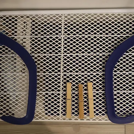 Jester * 那不勒斯