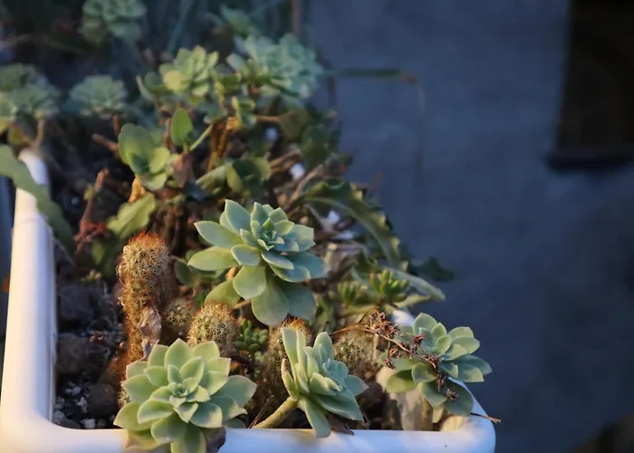 Jester Apartament Neapol